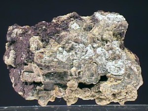 selenium